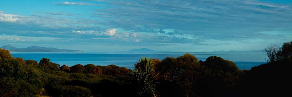 Eagle Peaks At Freycinet Apartment Coles Bay Ngoại thất bức ảnh
